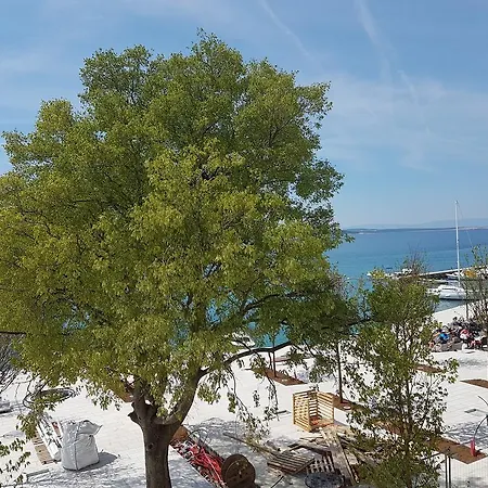 Amadeus 招待所 3*